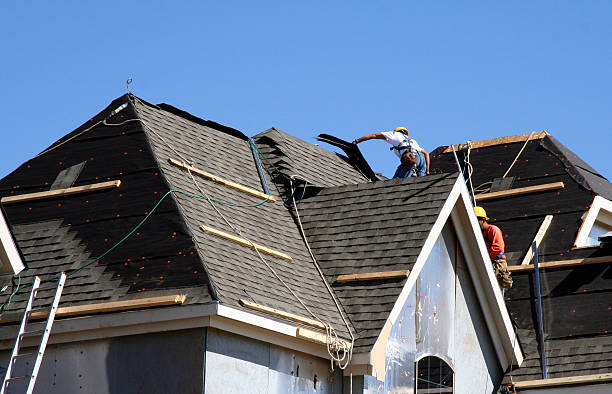 Best Roof Gutter Cleaning  in Davis, CA