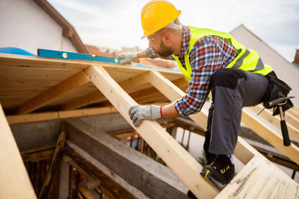 Best Roof Gutter Cleaning  in Davis, CA